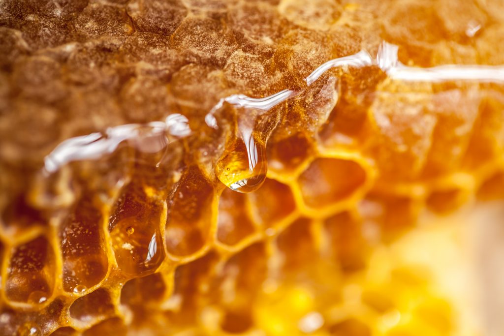 The Power of Beeswax in Skincare: Hydration, Protection, and Pore Refinement